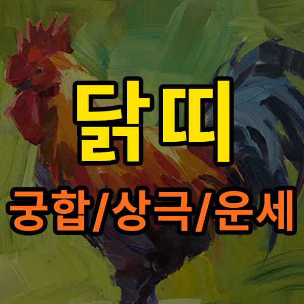 닭띠 궁합/상극/운세 - 썸네일