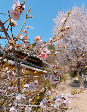 달의 연인 촬영지 남평문씨본리세거리