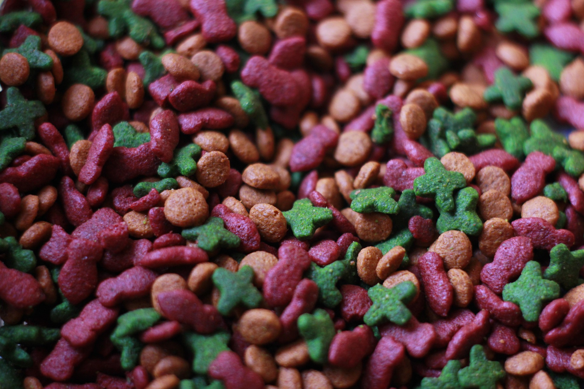 트레이더스 추천 식품 BEST 5