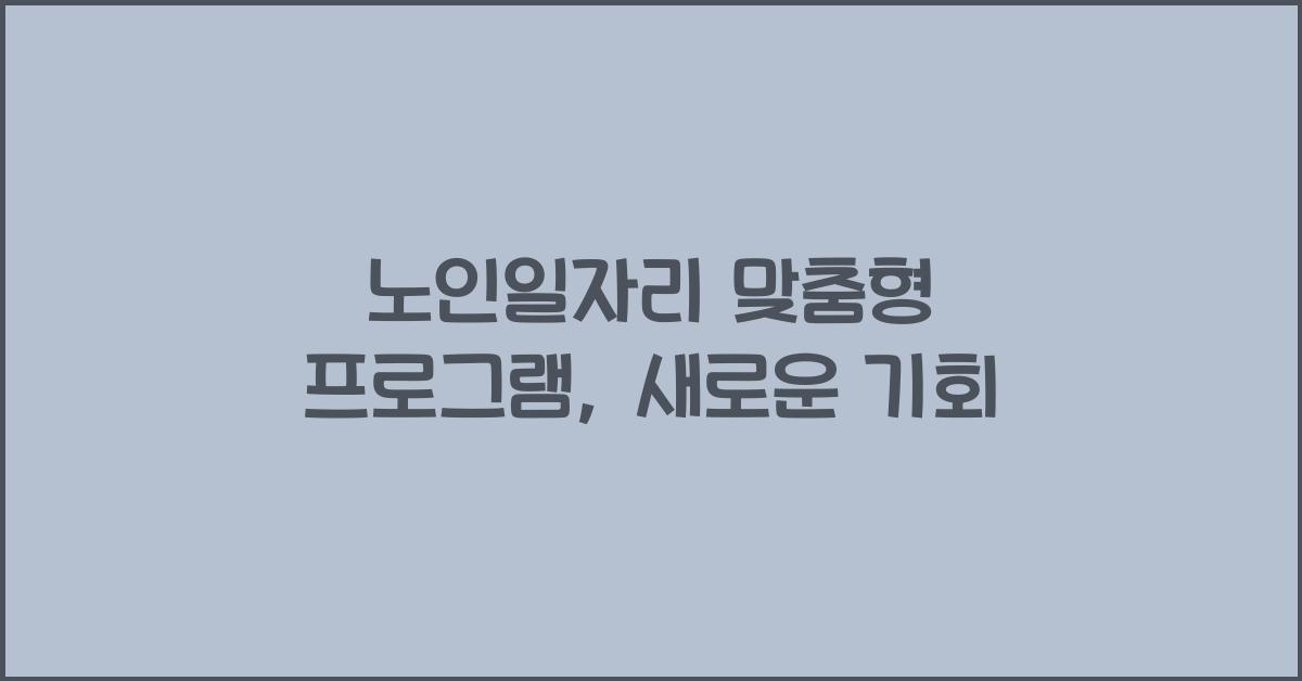 노인일자리 맞춤형 프로그램