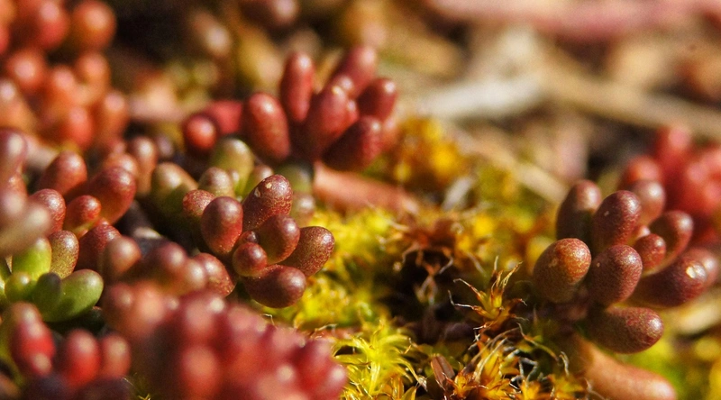 에폭시 시공의 절차