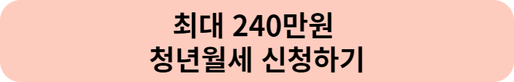 최대 240만원 청년월세 지원