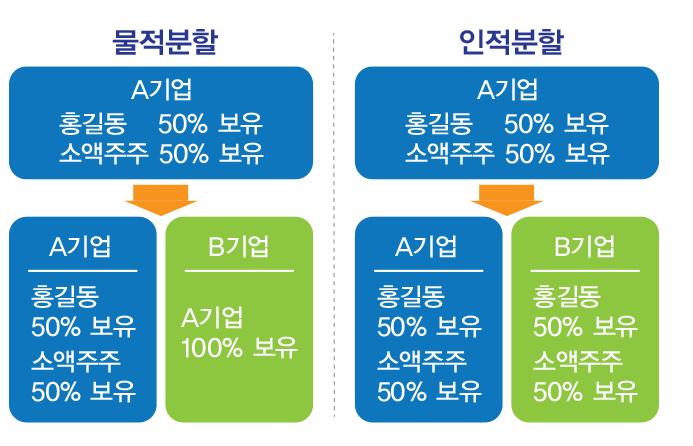 물적분할과-인적분할