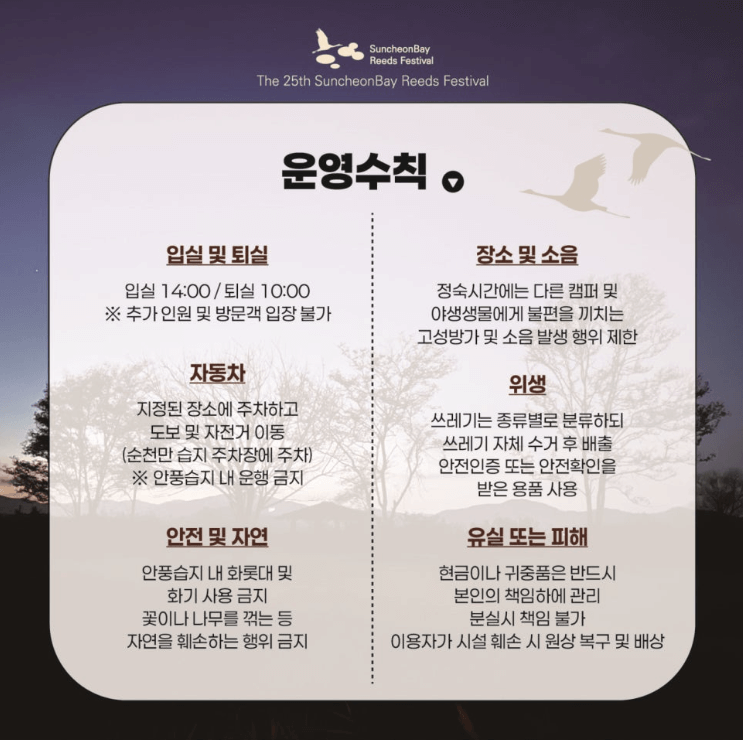 순천만 백패커의 밤