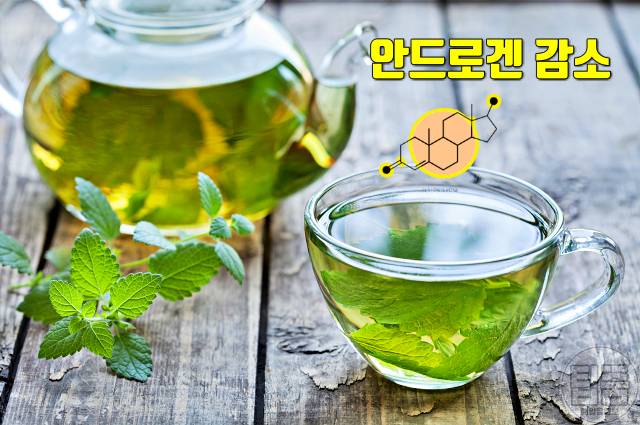 여자 인중 수염 없애는법 제모 없이 스피어민트차