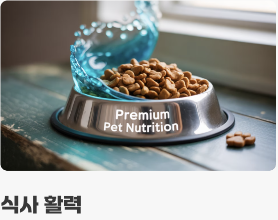 특별한 날을 위한 활용법 꿀팁