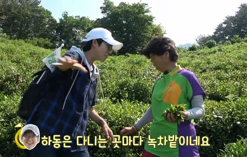 하동-녹차-냉면-산골제다