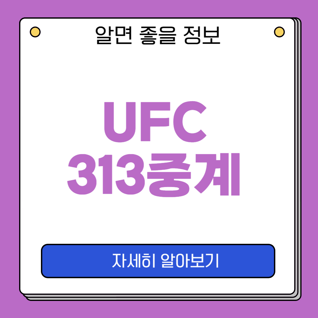 UFC313