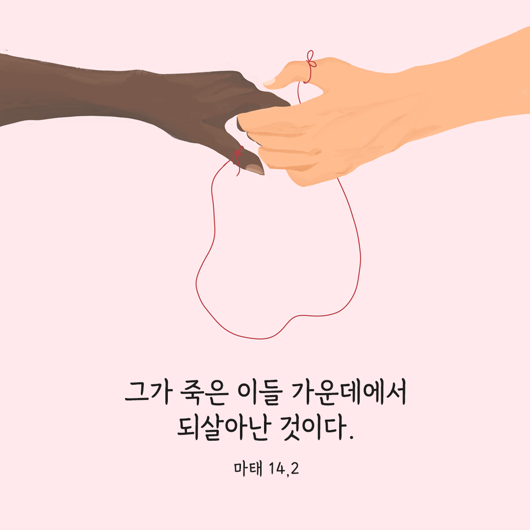 그가 죽은 이들 가운데에서 되살아난 것이다. (마태 14,2) 마태오복음 성경 말씀 카드 이미지 다운로드
