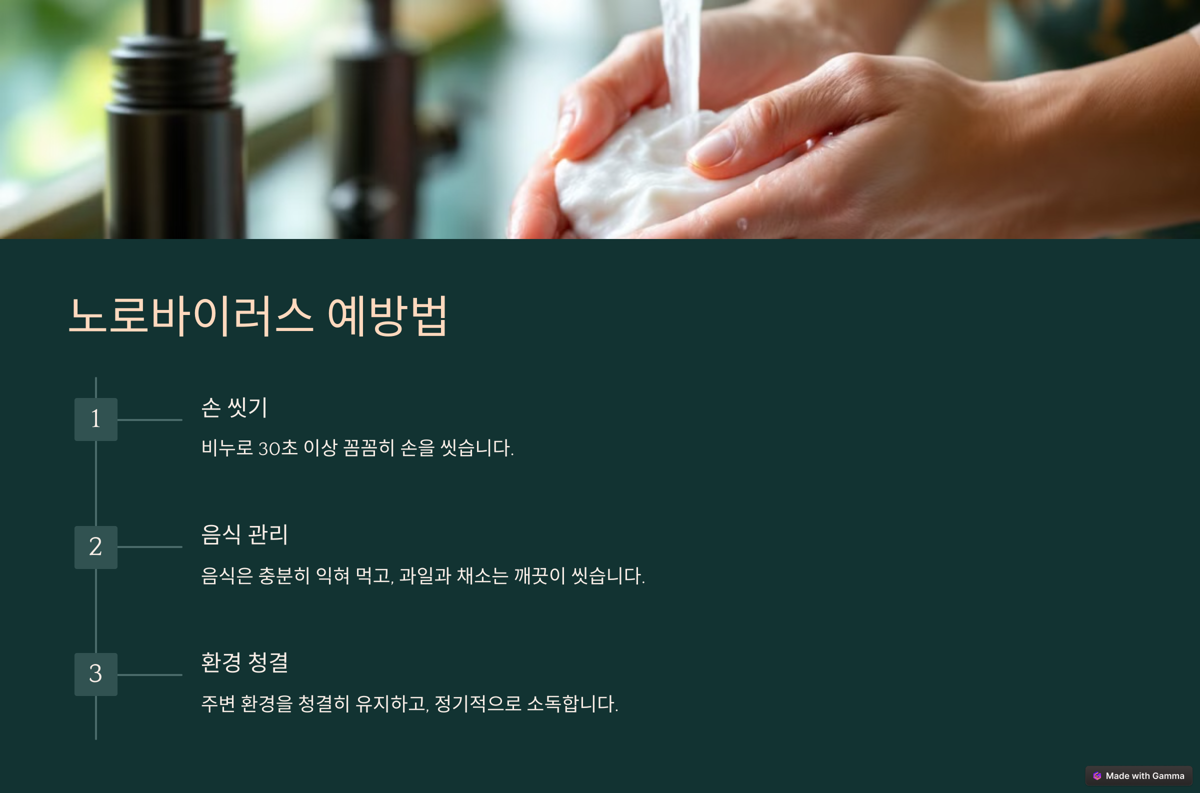 노로바이러스 증상