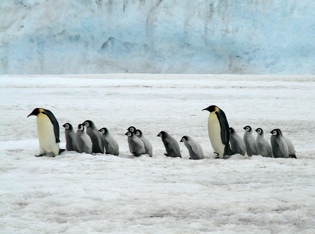 빙하 붕괴는 얼음이 좀 녹는다고 얼마나 큰 변화가 있을까!