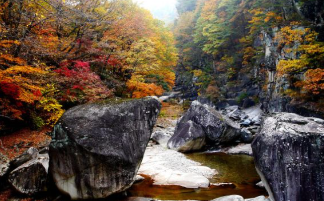 강원도 2025 단풍 산행 추천 코스 ❘ 설악산·오대산·치악산 절정 시기 안내