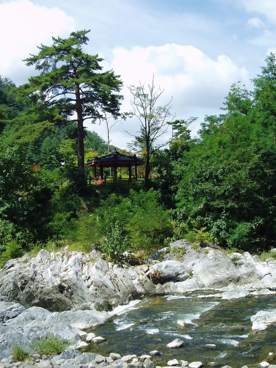 강원도 켐핑 관련 사진