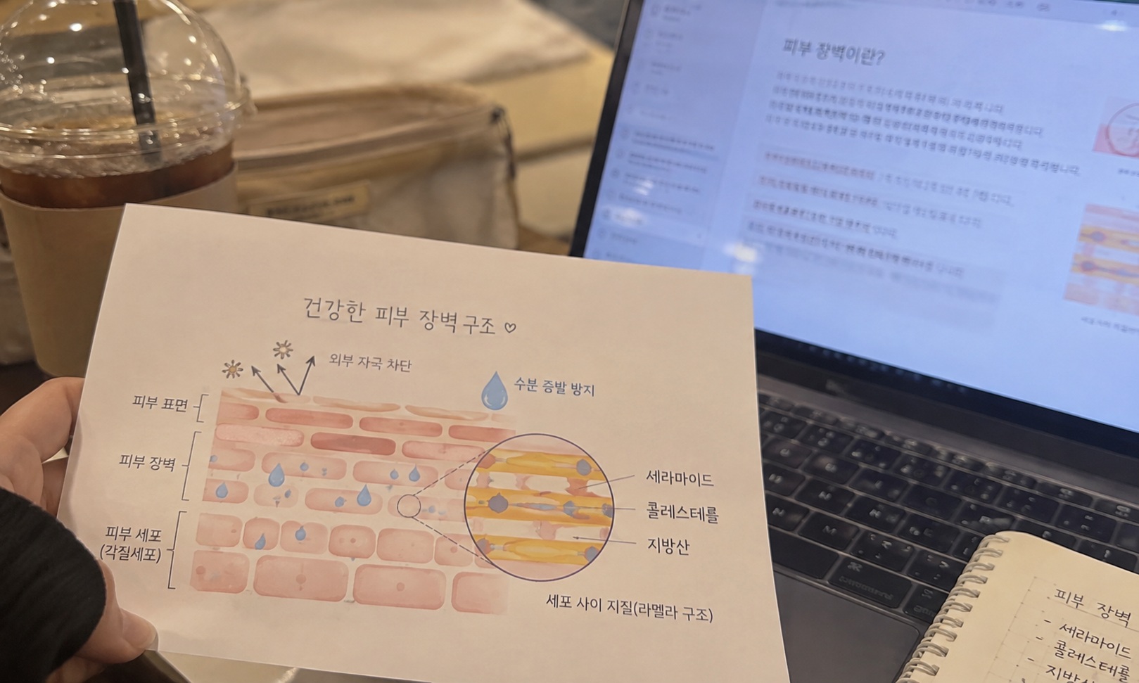 피부 장벽의 세라마이드 콜레스테롤 지방산 구조를 설명한 이미지