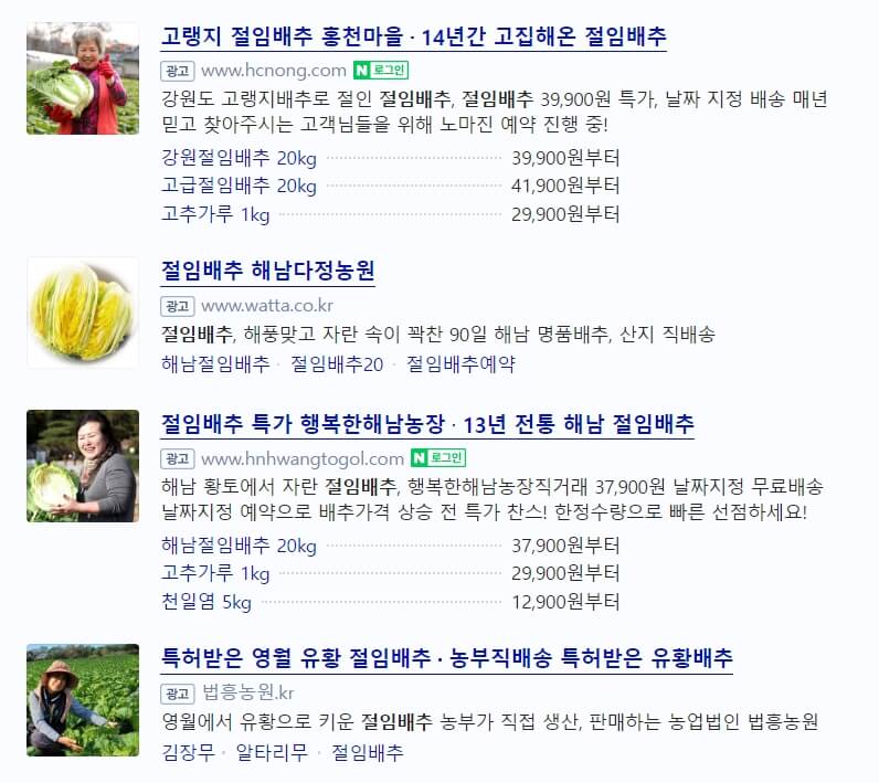 절임배추 20kg 가격 김장배추 가격