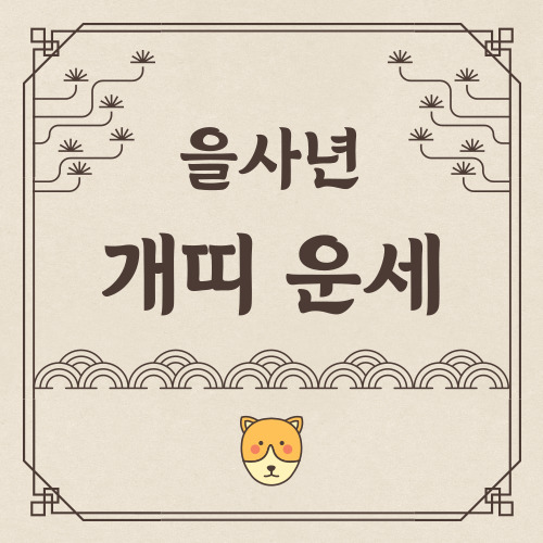 2025년 을사년 개띠 신년 운세