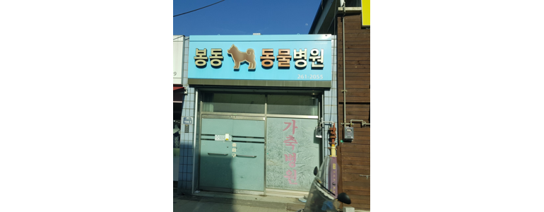 완주군 동물병원