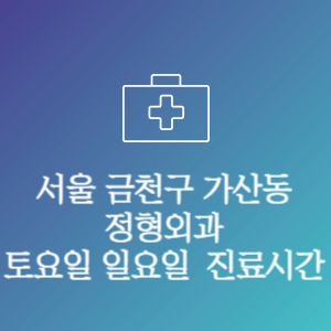 서울 금천구 가산동 정형외과 주말 토요일 일요일 문여는 병원 진료시간