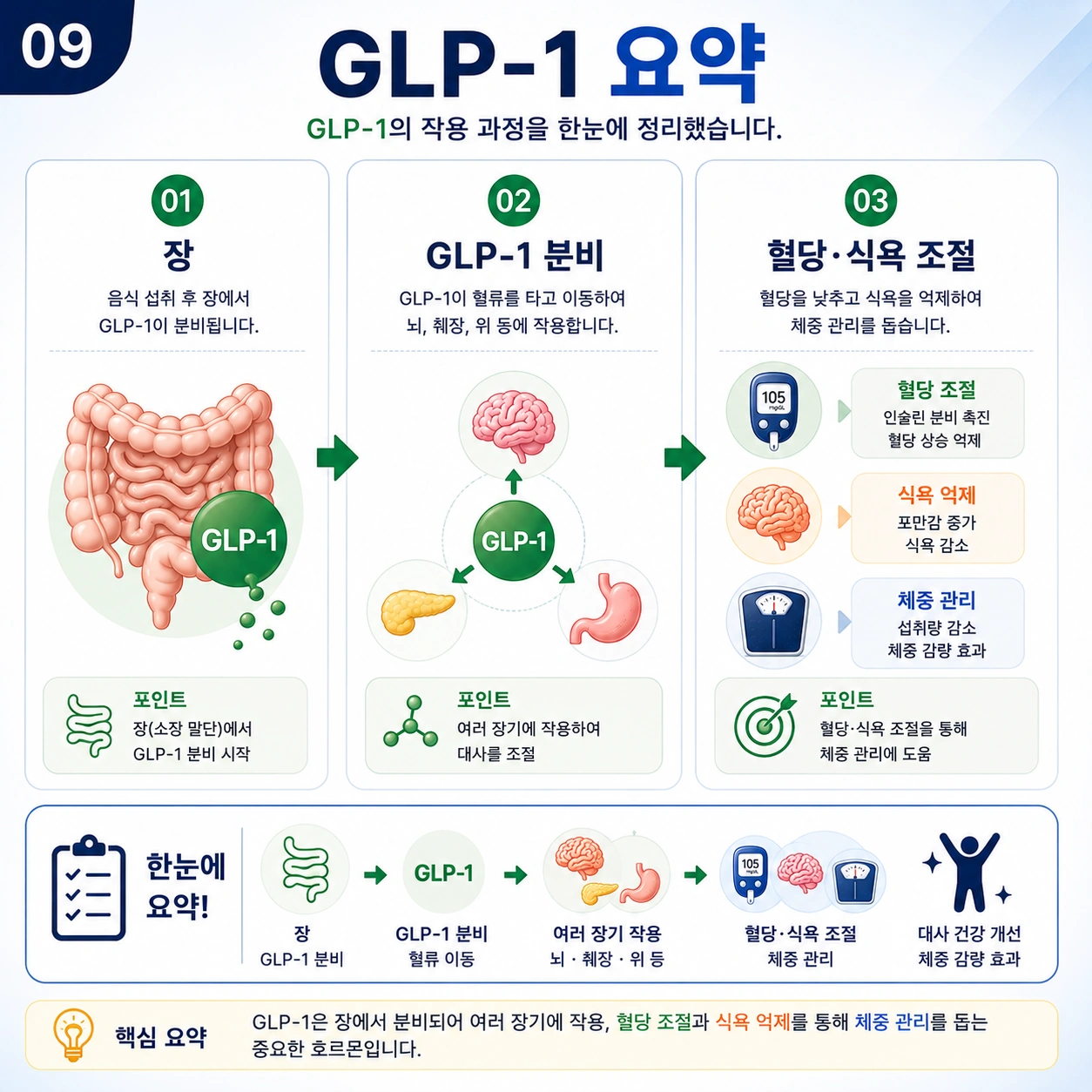 GLP-1-요약
