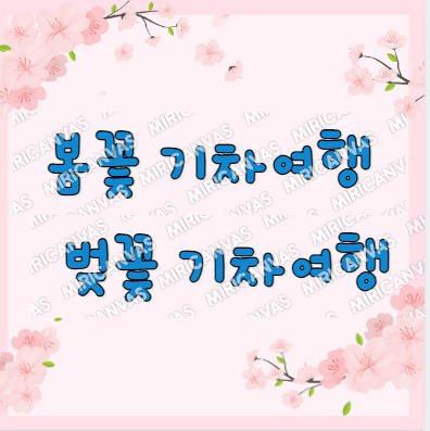 봄꽃 기차여행 (벚꽃기차)코스 및 금액 정리