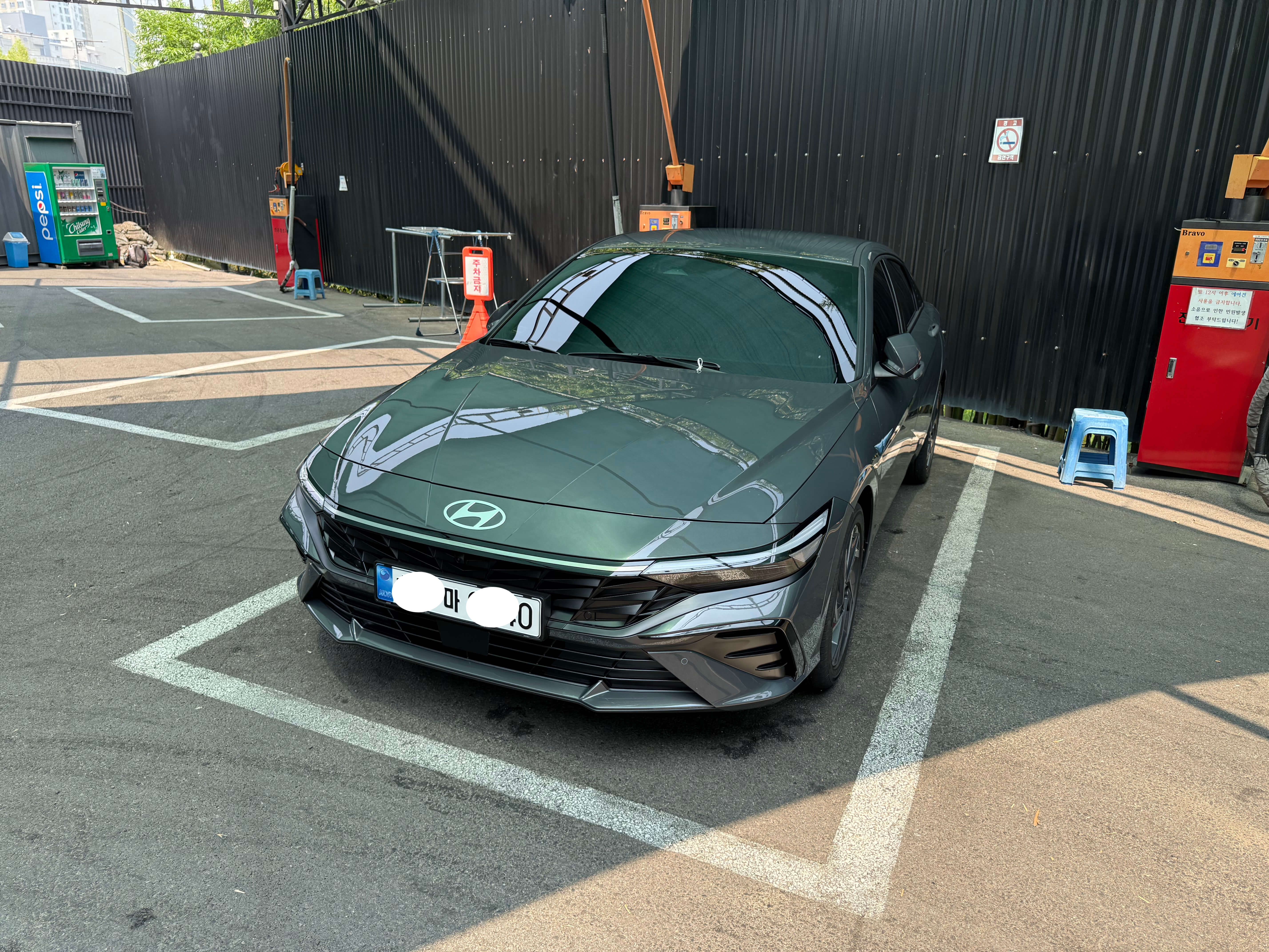 에코트로닉 그레이펄