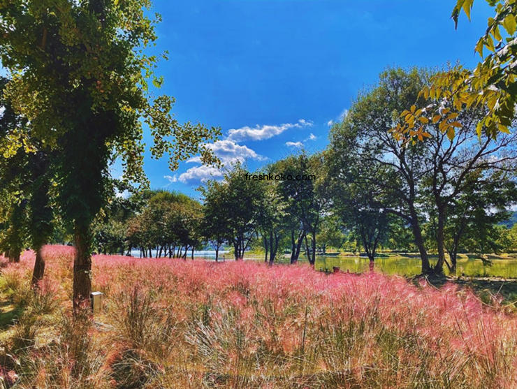 가평 가볼만한곳 베스트10