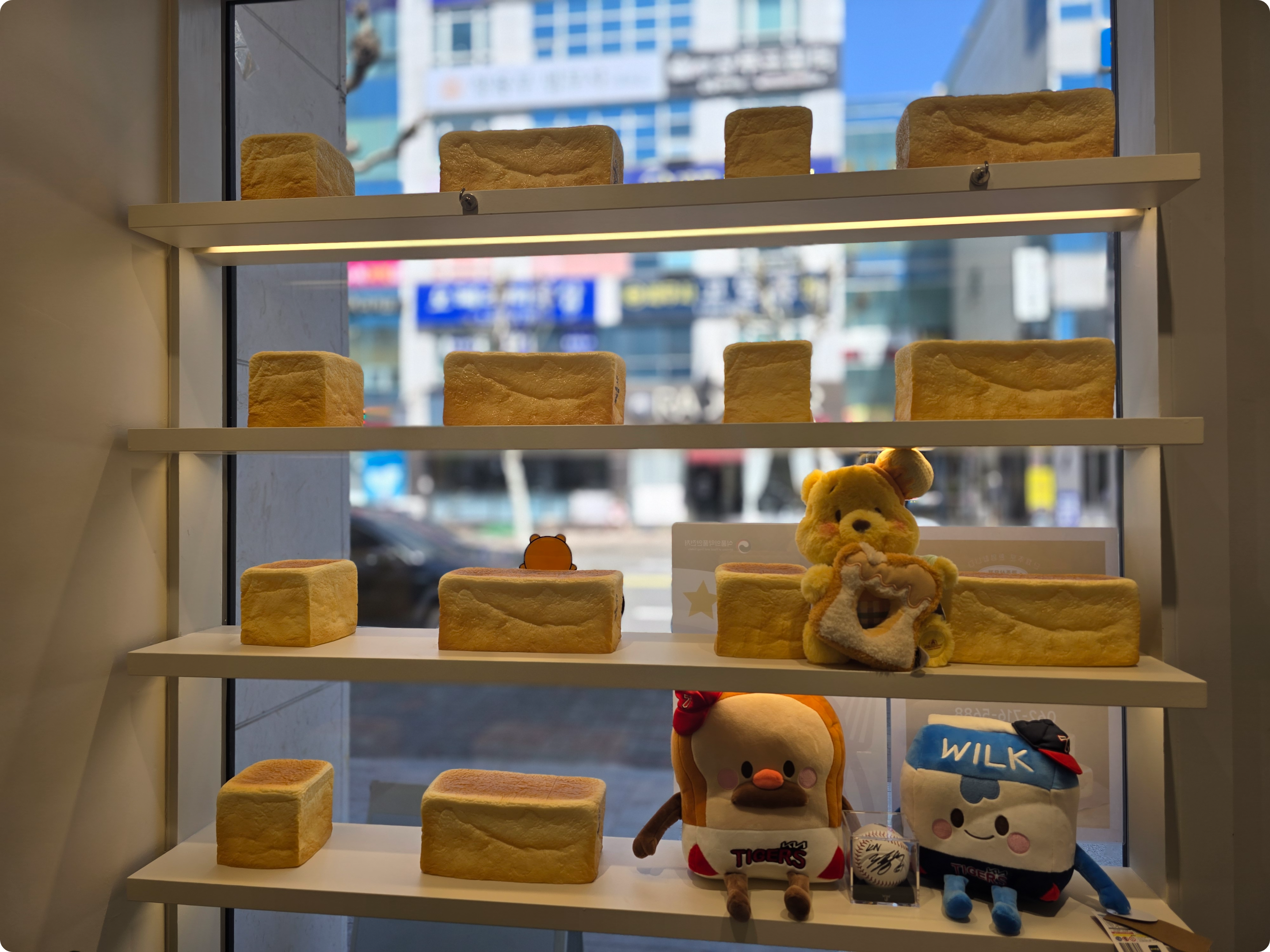 화이트리에 진열대에 놓인 빵