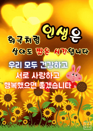 인생 짧은 시간 명언, 해바라기 배경 따뜻한 아침인사말