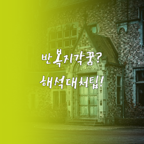 반복되는 지각 꿈 심리학적 해석과 현..