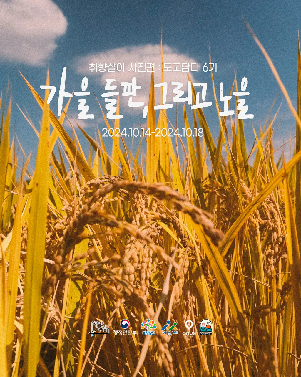 DOGO온천 취향살이_사진편 : 도고담다 6기 <가을 들판, 그리고 노을>