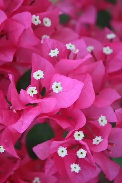 상속세율 계산 방법과 상속세율표로 알아보는 절세 팁_1