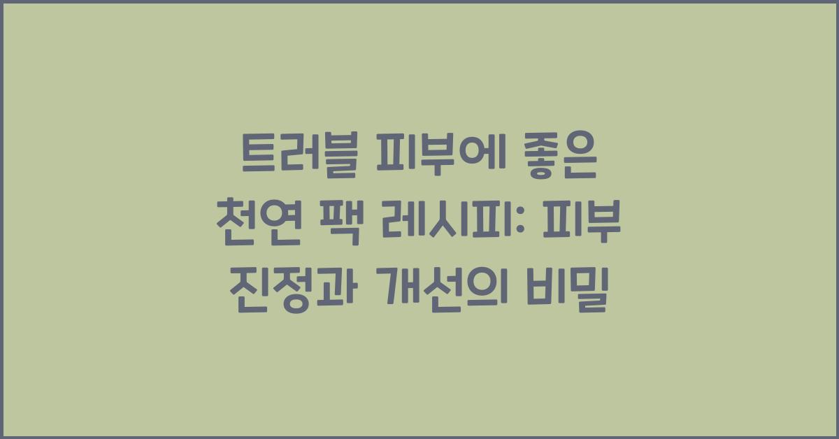 트러블 피부에 좋은 천연 팩 레시피: 피부 진정과 개선을 동시에