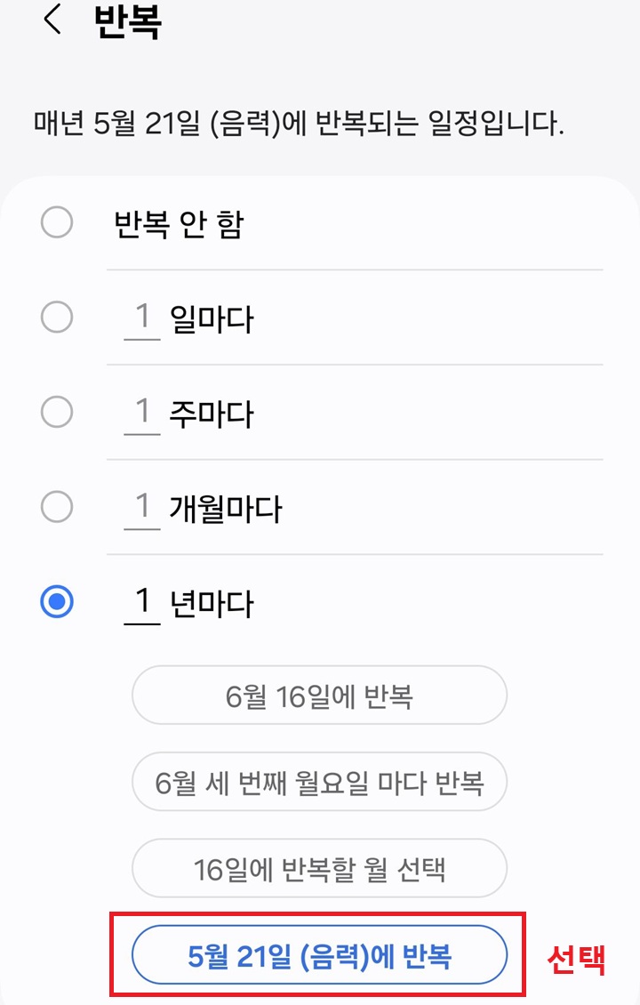 1년 주기 아래에 추가 옵션 보임