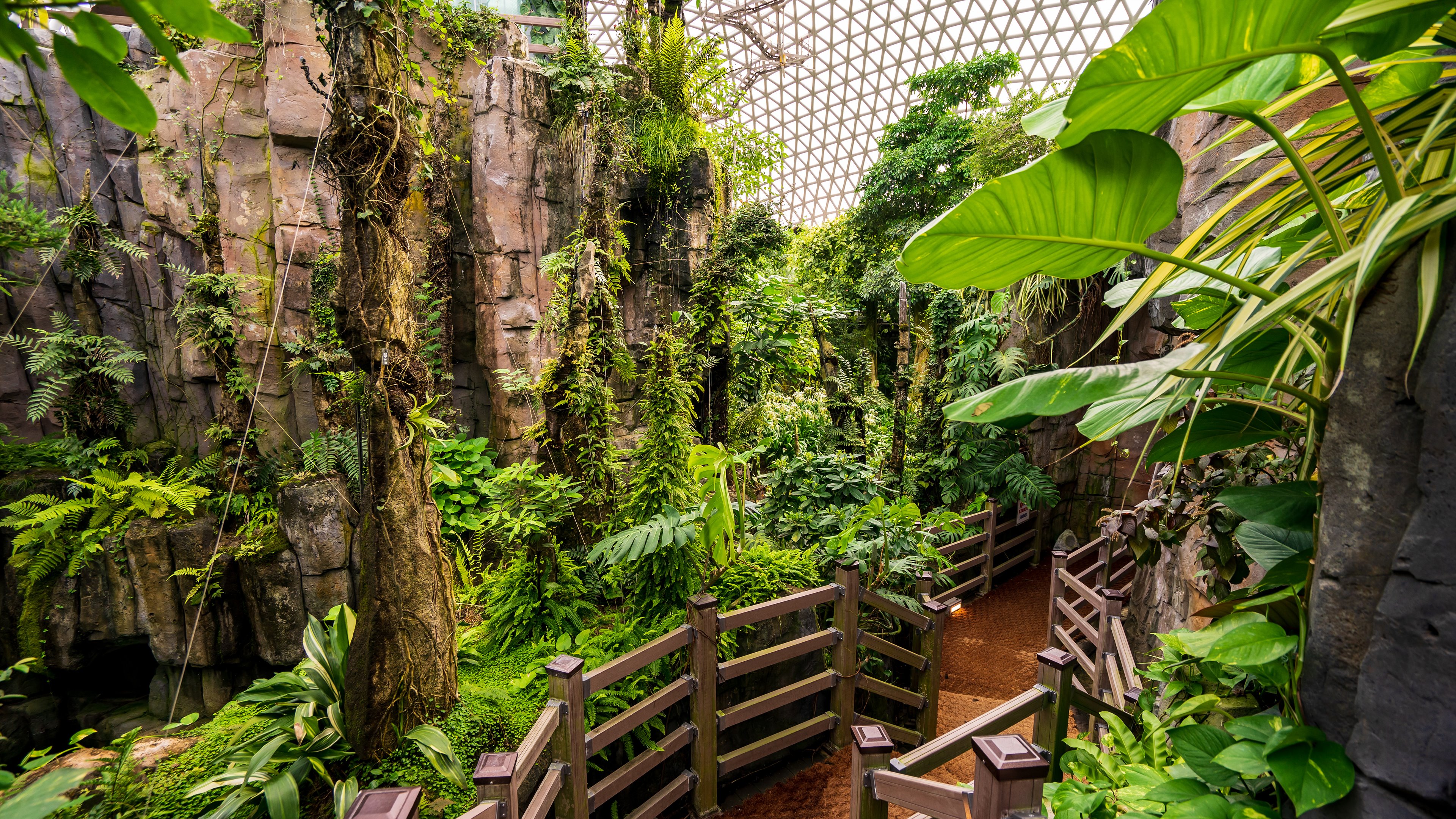 거제식물원 정글돔