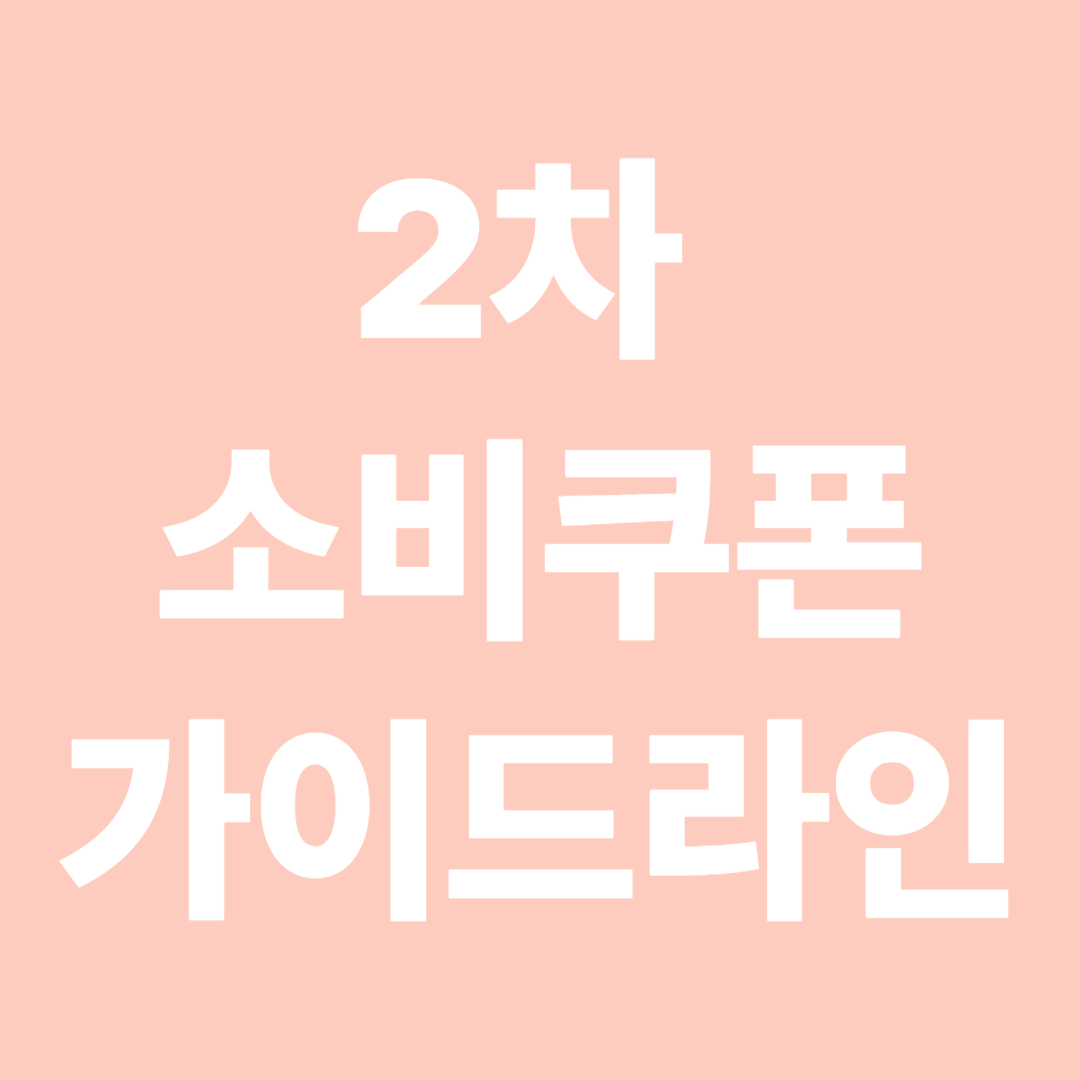 2차 소비쿠폰 가이드라인