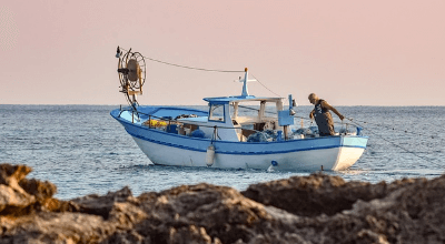 격포갈매기호 예약현황