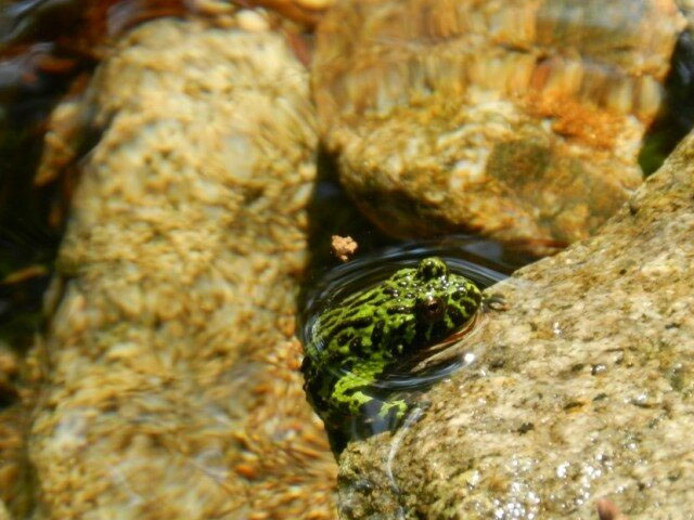 산음자연휴양림 풍경