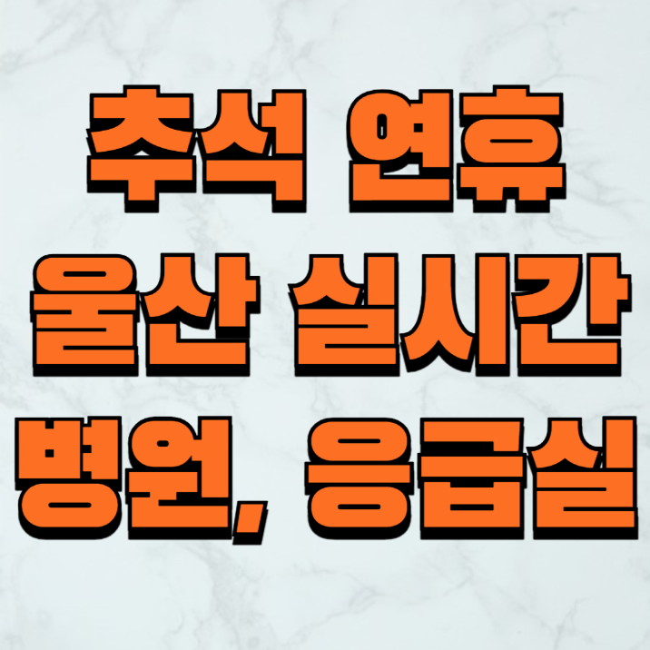 울산 추석 연휴 응급실 병원 약국 실시간 가까운위치