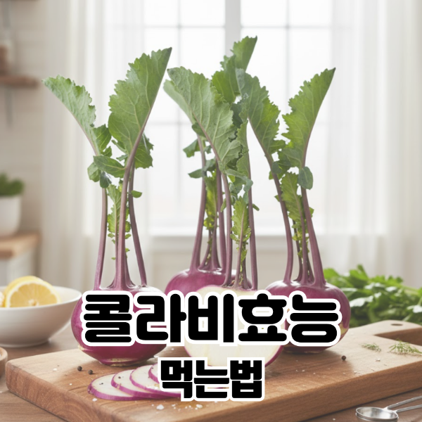 콜라비효능