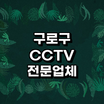 서울 구로구 cctv
