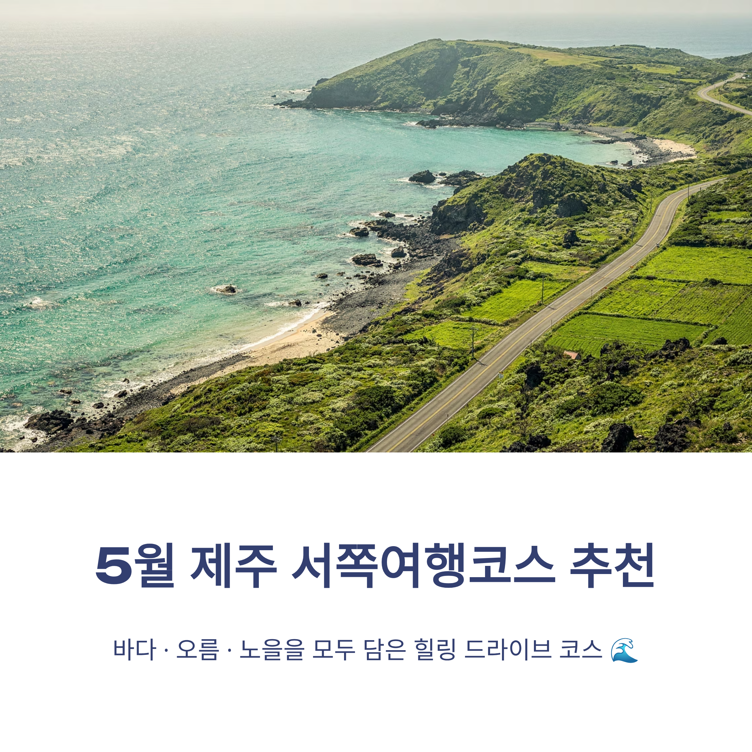 5월 제주 서쪽 여행코스 추천