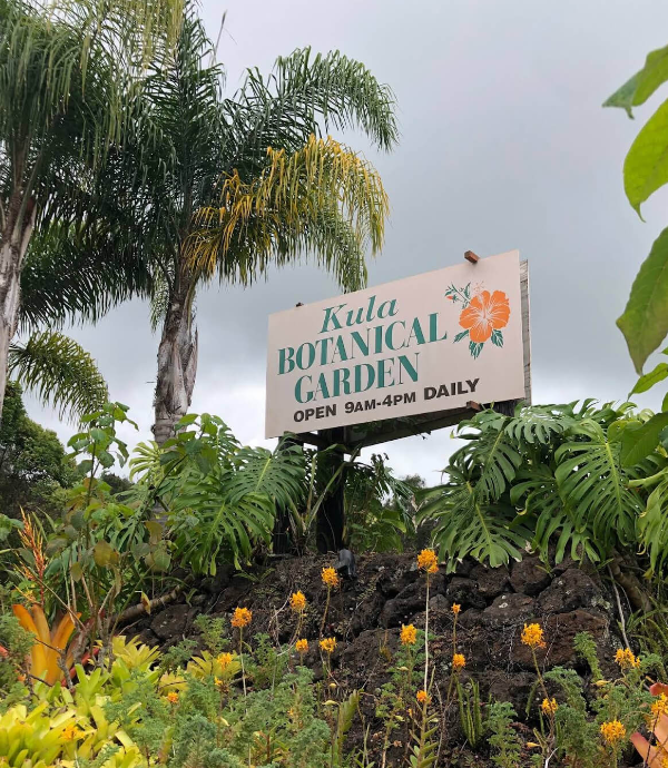 마우이-쿨라-보타니컬-가든-입구-사진