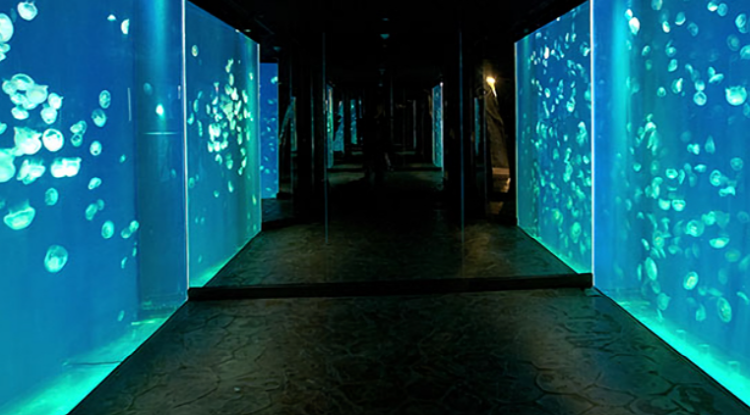 여수 아쿠아리움