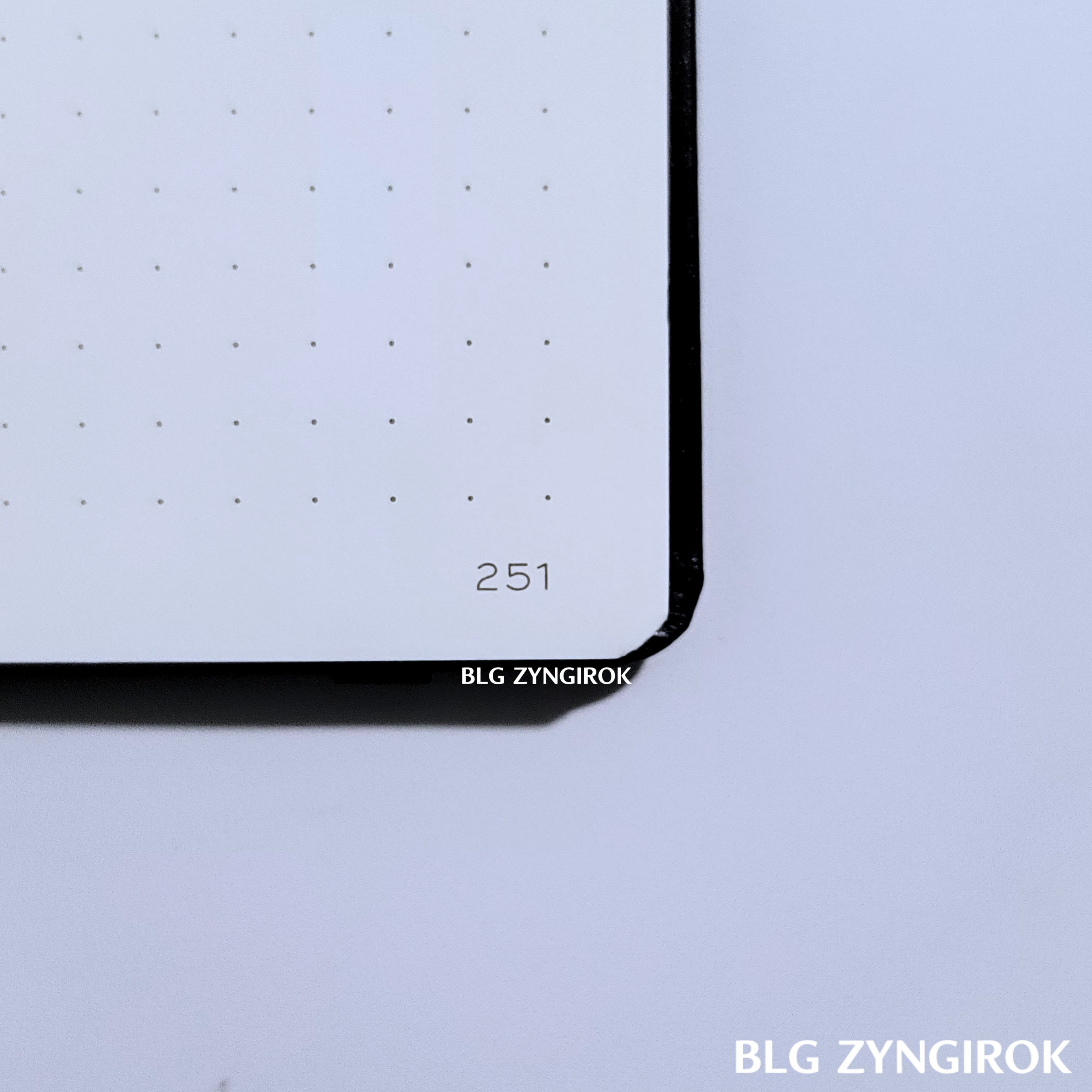 로이텀 노트 251 페이지 모습이다.