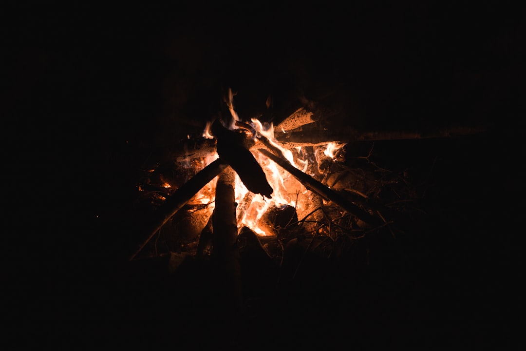 Warmth