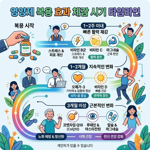 영양제 복용 효과 체감 시기 타임라인