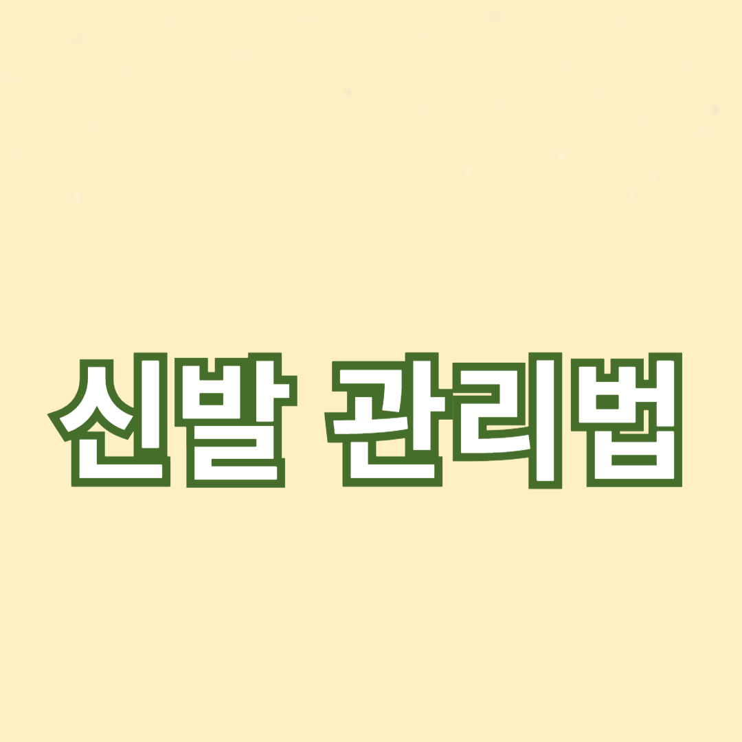 신발 관리법: 오래 신는 꿀팁