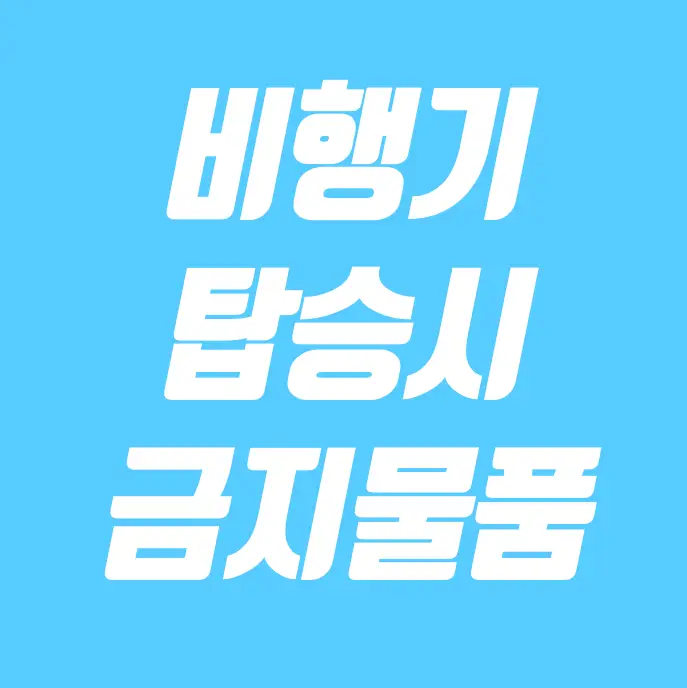 비행기 탑승시 금지물품