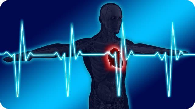 VR과 주파수 기반 감정 조절 기술 – 가상현실과 신경과학의 융합