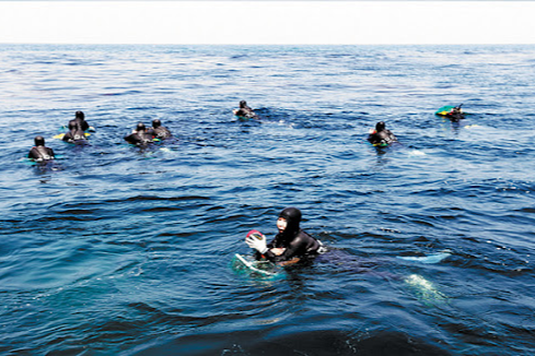 넷플릭스 ‘폭싹 속았수다’ 감독 & 작가 인터뷰 – 제주 해녀 이야기를 담은 이유는